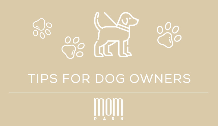 Walk your pet safely!