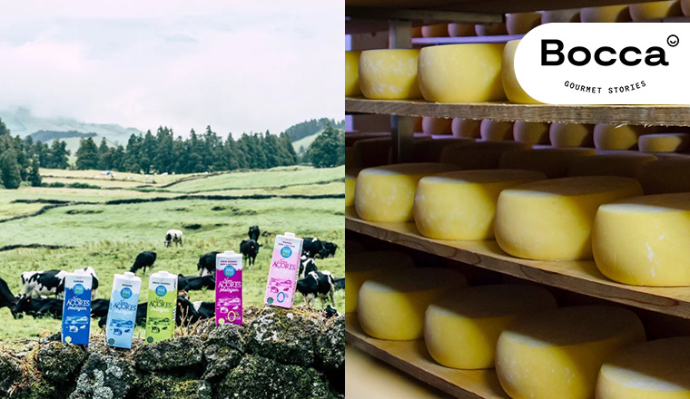 Culinary Specialty: Azorean Dairy Products