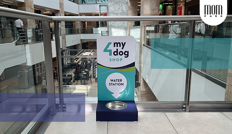 Water Stations for Dogs
