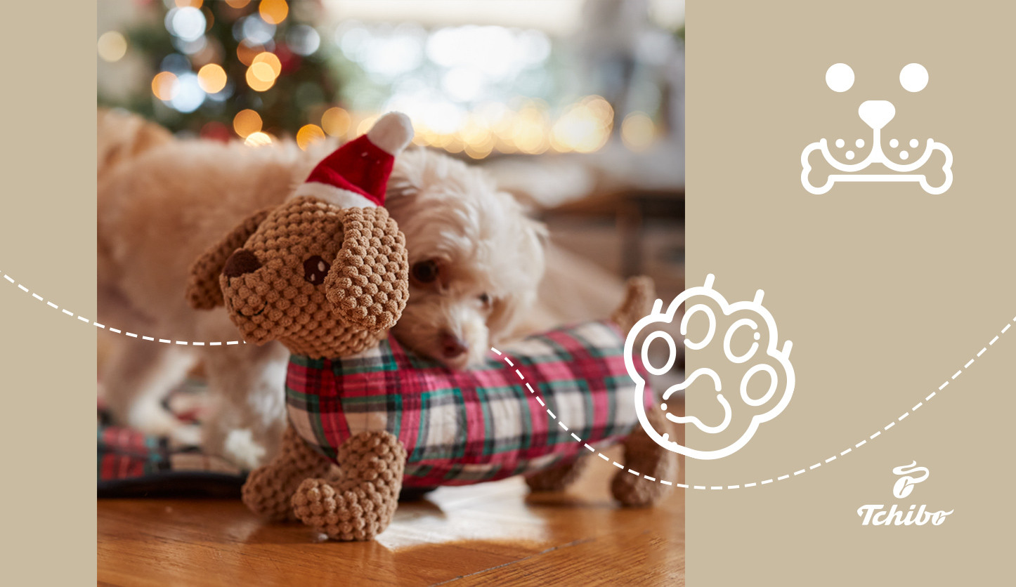 Christmas of pets at Tchibo